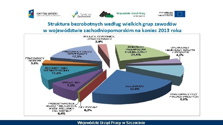 Struktura bezrobotnych według wielkich grup zawodów w województwie zachodniopomorskim na koniec 2013 roku Wojewódzki