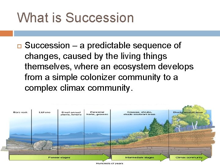 What is Succession – a predictable sequence of changes, caused by the living things