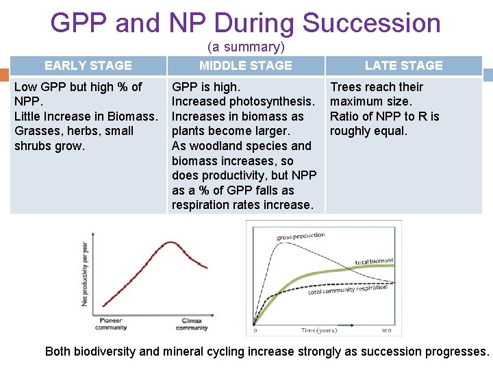 GPP and NP During Succession (a summary) EARLY STAGE MIDDLE STAGE Low GPP but