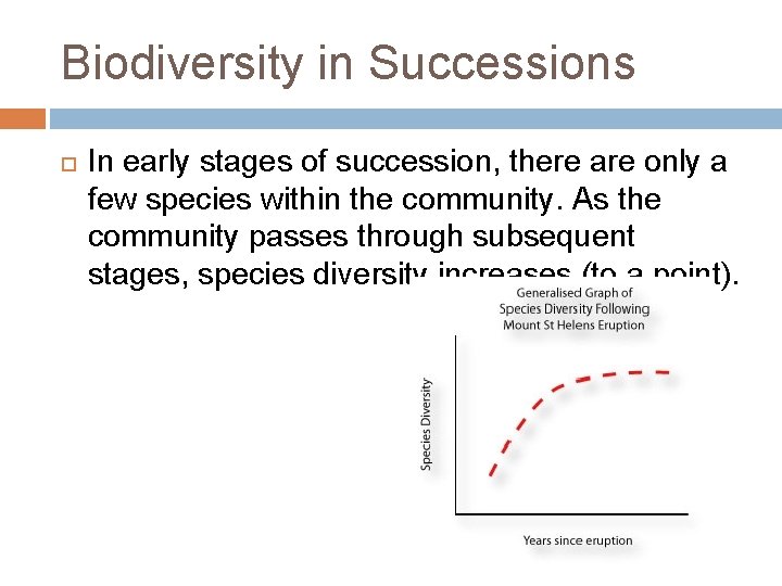 Biodiversity in Successions In early stages of succession, there are only a few species
