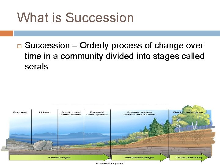 What is Succession – Orderly process of change over time in a community divided