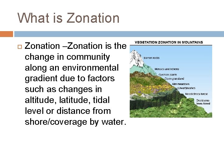 What is Zonation –Zonation is the change in community along an environmental gradient due