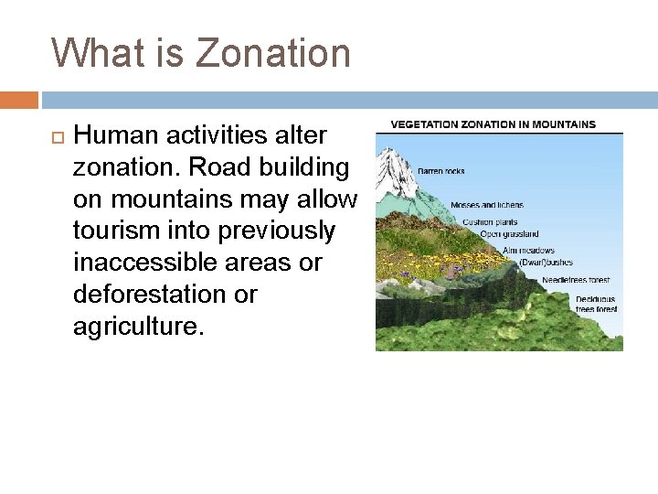 What is Zonation Human activities alter zonation. Road building on mountains may allow tourism