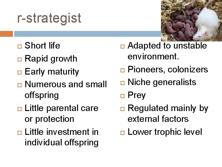 r-strategist Short life Rapid growth Early maturity Numerous and small offspring Little parental care