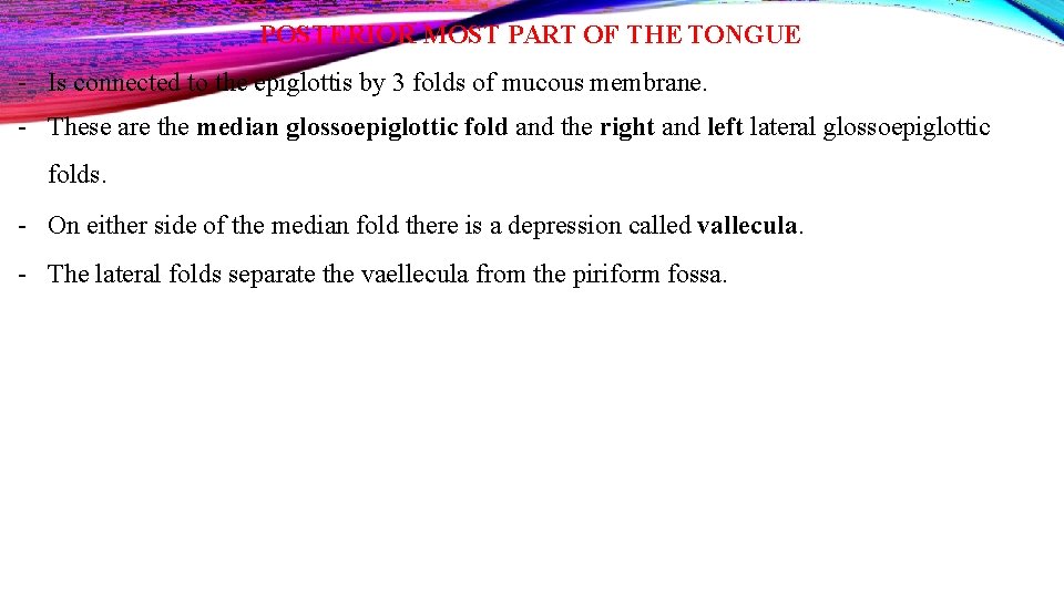 POSTERIOR MOST PART OF THE TONGUE - Is connected to the epiglottis by 3