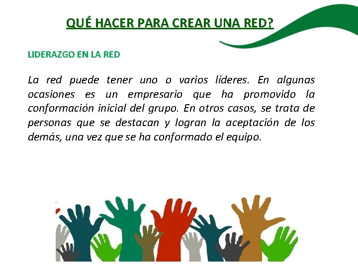 QUÉ HACER PARA CREAR UNA RED? LIDERAZGO EN LA RED La red puede tener