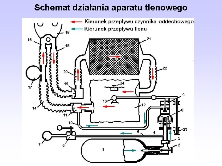 Schemat działania aparatu tlenowego 