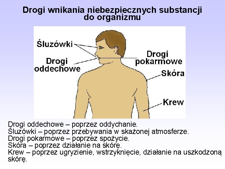 Drogi wnikania niebezpiecznych substancji do organizmu Drogi oddechowe – poprzez oddychanie. Śluzówki – poprzez