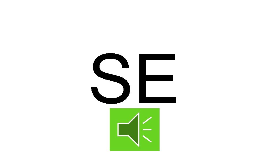 SE 