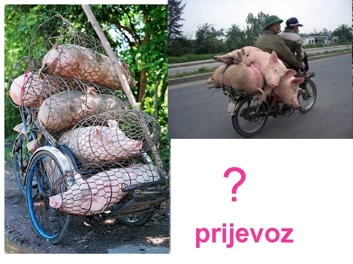 prijevoz ? prijevoz prijevoz ? prijevoz