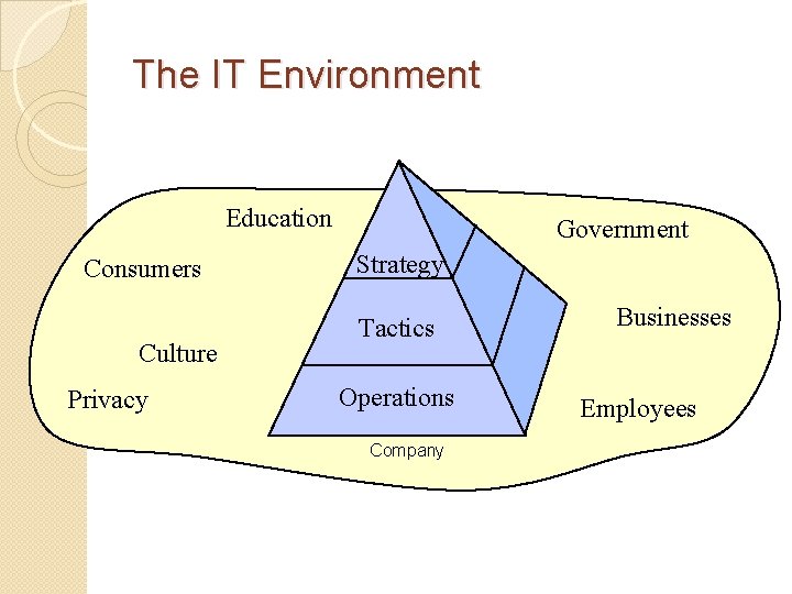 The IT Environment Education Consumers Culture Privacy Government Strategy Tactics Operations Company Businesses Employees