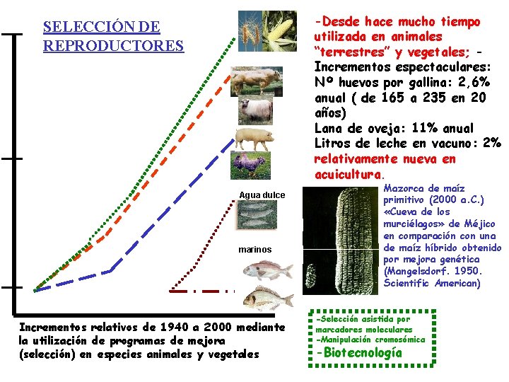 -Desde hace mucho tiempo utilizada en animales “terrestres” y vegetales; Incrementos espectaculares: Nº huevos