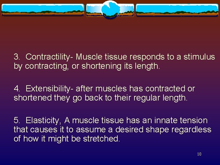 3. Contractility- Muscle tissue responds to a stimulus by contracting, or shortening its length.