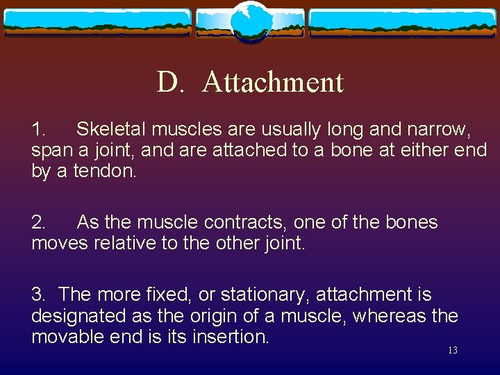 D. Attachment 1. Skeletal muscles are usually long and narrow, span a joint, and