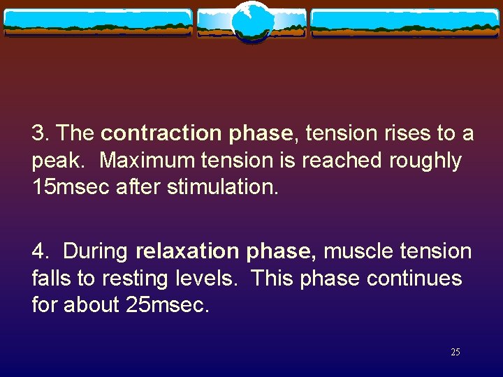 3. The contraction phase, tension rises to a peak. Maximum tension is reached roughly