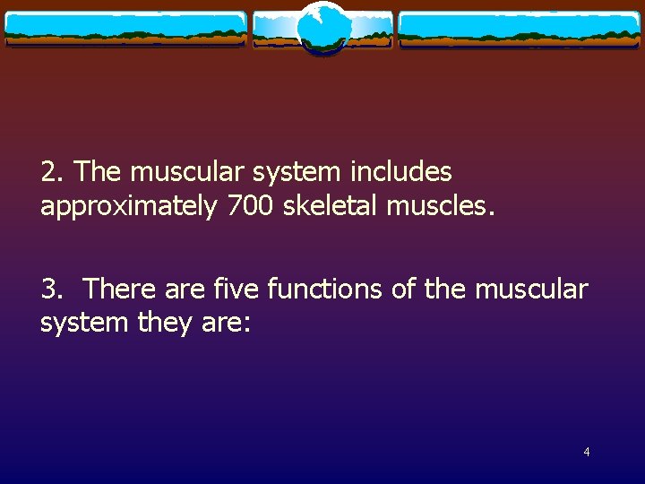 2. The muscular system includes approximately 700 skeletal muscles. 3. There are five functions