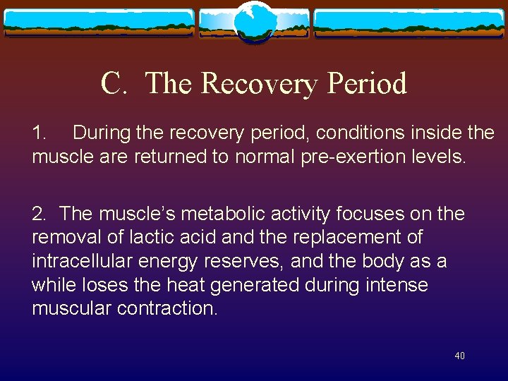 C. The Recovery Period 1. During the recovery period, conditions inside the muscle are