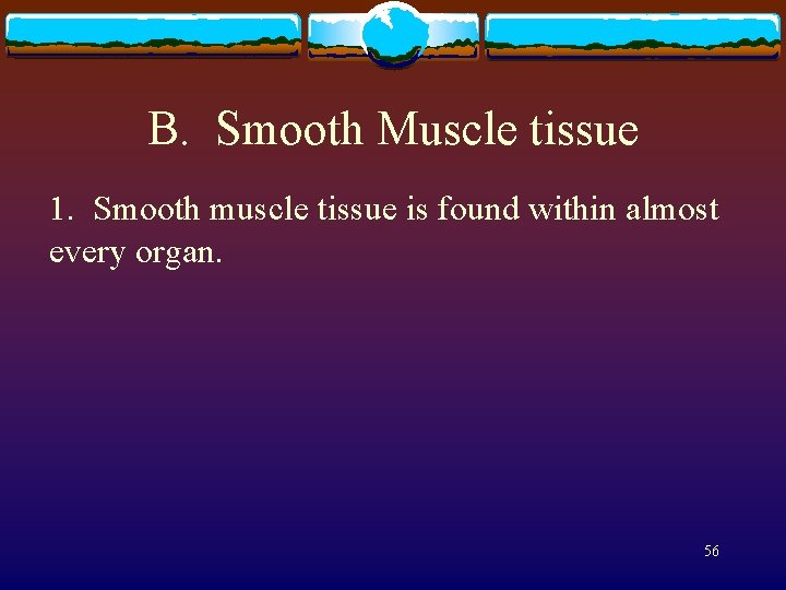 B. Smooth Muscle tissue 1. Smooth muscle tissue is found within almost every organ.