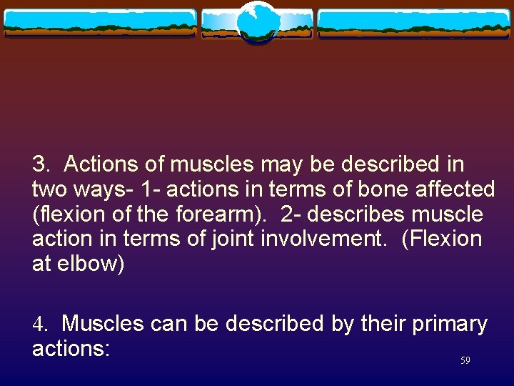  3. Actions of muscles may be described in two ways- 1 - actions