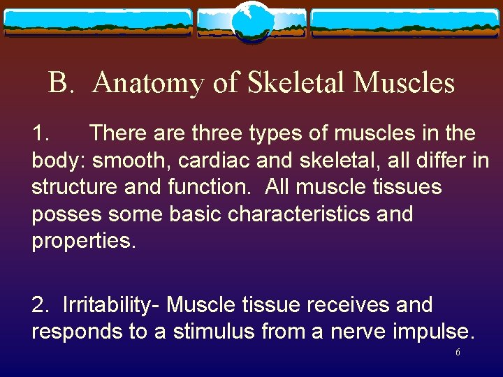 B. Anatomy of Skeletal Muscles 1. There are three types of muscles in the