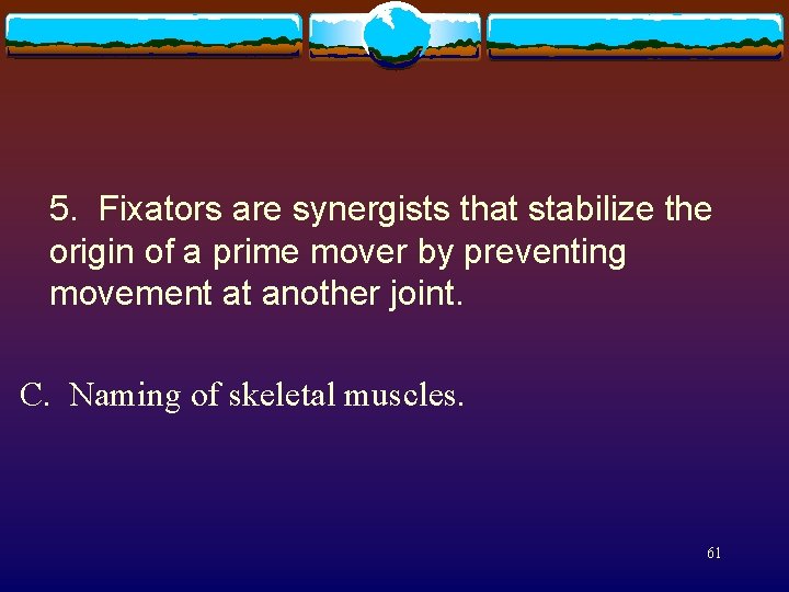 5. Fixators are synergists that stabilize the origin of a prime mover by preventing