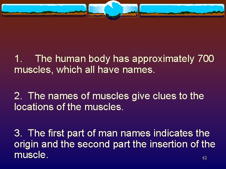 1. The human body has approximately 700 muscles, which all have names. 2. The