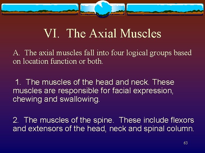 VI. The Axial Muscles A. The axial muscles fall into four logical groups based