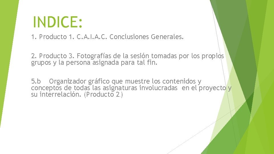 INDICE: 1. Producto 1. C. A. I. A. C. Conclusiones Generales. 2. Producto 3.