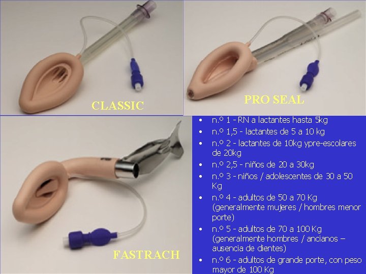 PRO SEAL CLASSIC • • FASTRACH • n. º 1 - RN a lactantes