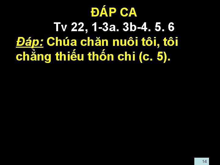  • ĐÁP CA • Tv 22, 1 -3 a. 3 b-4. 5. 6