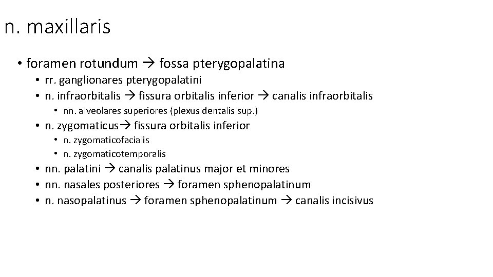n. maxillaris • foramen rotundum fossa pterygopalatina • rr. ganglionares pterygopalatini • n. infraorbitalis n. maxillaris • foramen rotundum fossa pterygopalatina • rr. ganglionares pterygopalatini • n. infraorbitalis