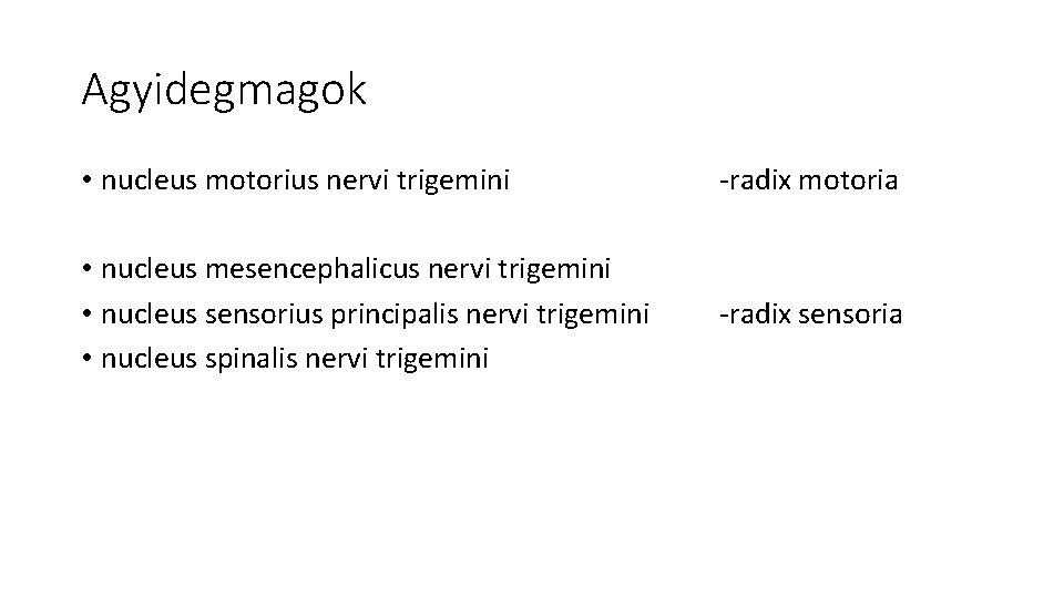 Agyidegmagok • nucleus motorius nervi trigemini -radix motoria • nucleus mesencephalicus nervi trigemini • Agyidegmagok • nucleus motorius nervi trigemini -radix motoria • nucleus mesencephalicus nervi trigemini •