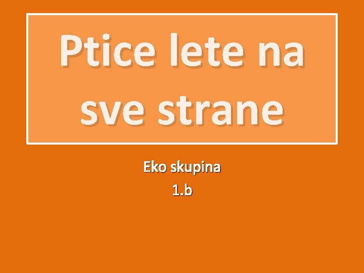 Ptice lete na sve strane Eko skupina 1. b 