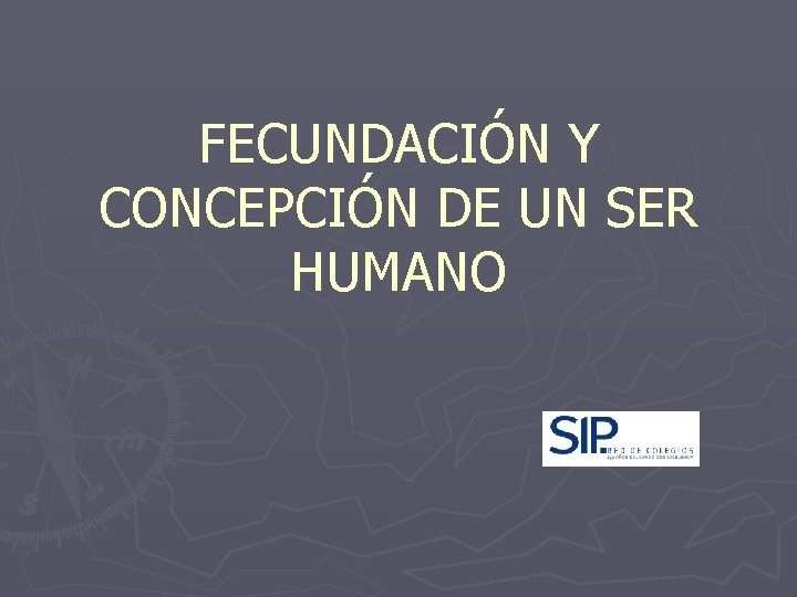 FECUNDACIÓN Y CONCEPCIÓN DE UN SER HUMANO 