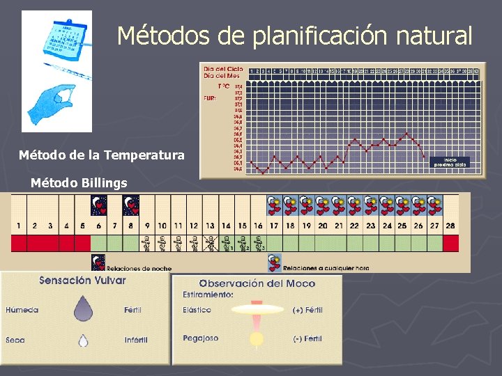 Métodos de planificación natural Método de la Temperatura Método Billings 