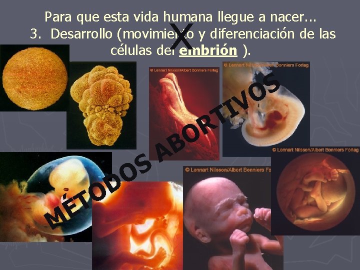 x Para que esta vida humana llegue a nacer. . . 3. Desarrollo (movimiento x Para que esta vida humana llegue a nacer. . . 3. Desarrollo (movimiento