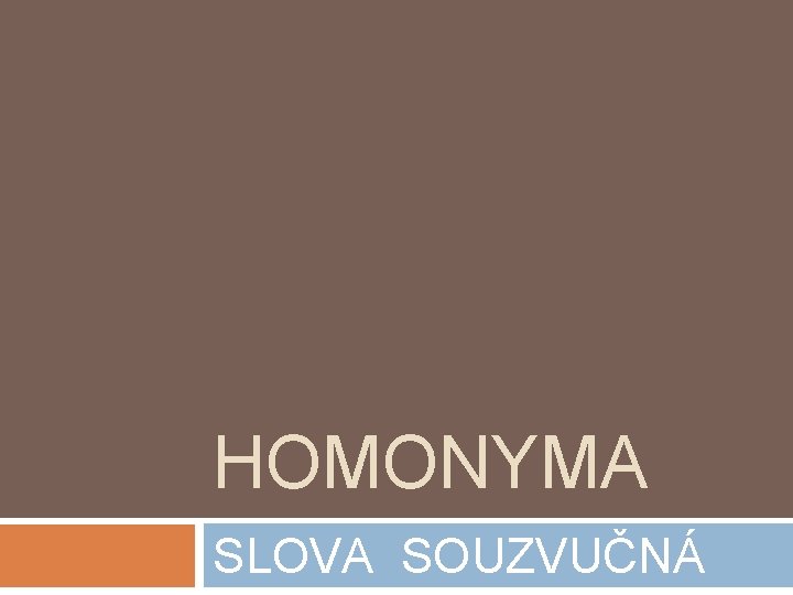 HOMONYMA SLOVA SOUZVUČNÁ 