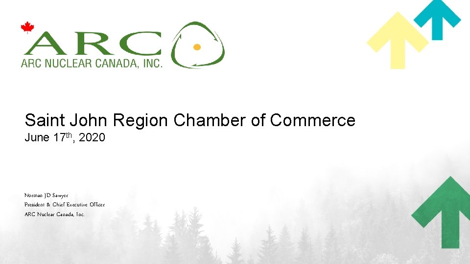 Saint John Region Chamber of Commerce June 17 th, 2020 Norman JD Sawyer President