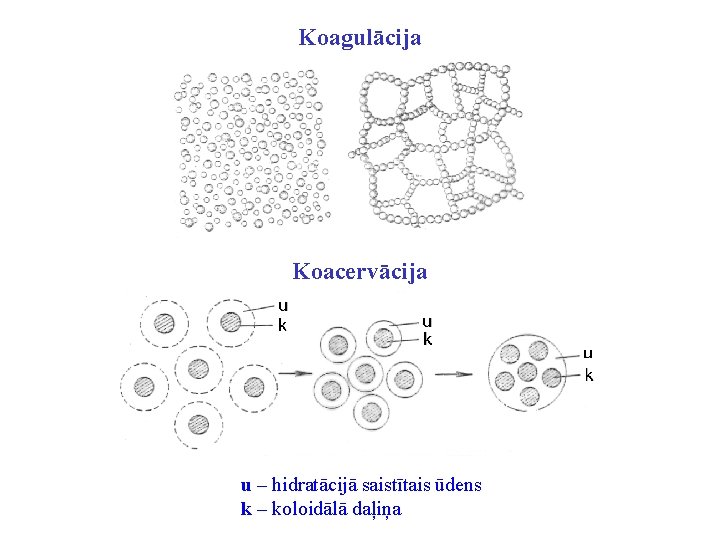 Koagulācija Koacervācija u – hidratācijā saistītais ūdens k – koloidālā daļiņa 