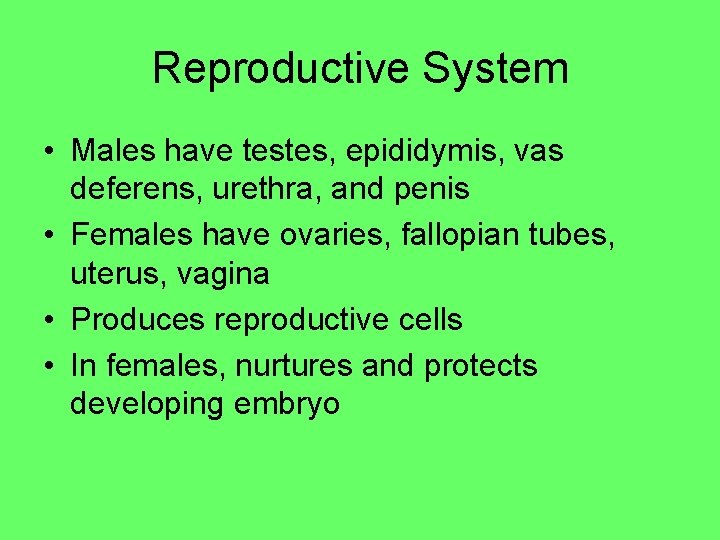 Reproductive System • Males have testes, epididymis, vas deferens, urethra, and penis • Females Reproductive System • Males have testes, epididymis, vas deferens, urethra, and penis • Females