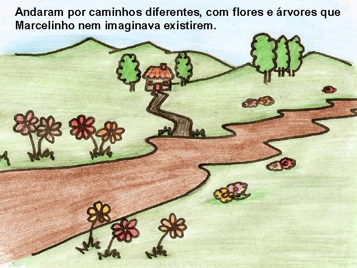 Andaram por caminhos diferentes, com flores e árvores que Marcelinho nem imaginava existirem. 