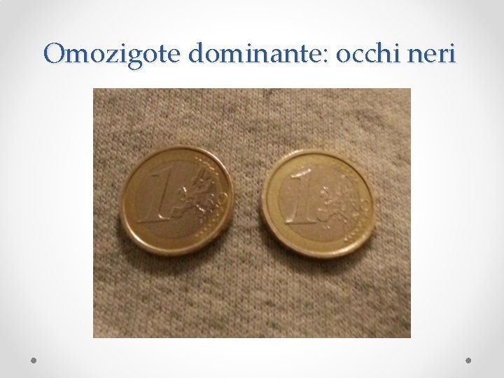 Omozigote dominante: occhi neri 