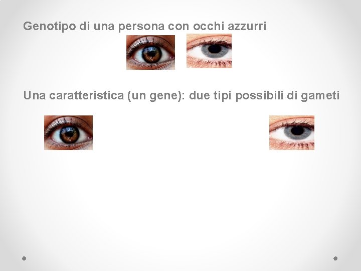Genotipo di una persona con occhi azzurri Una caratteristica (un gene): due tipi possibili