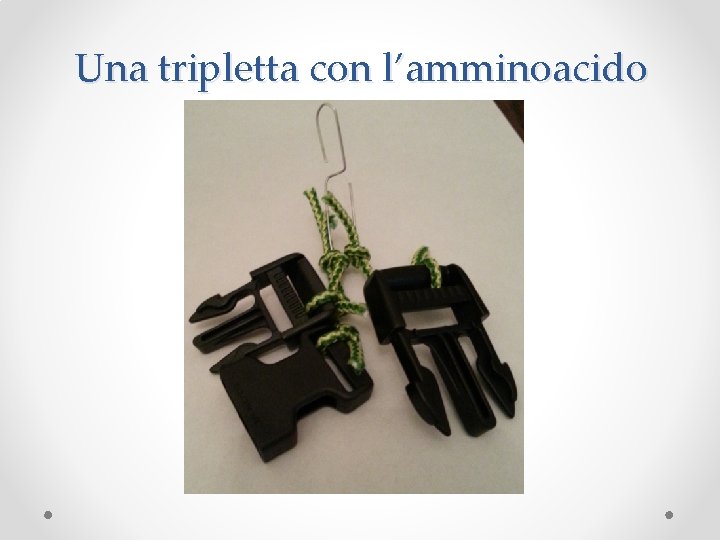 Una tripletta con l’amminoacido 