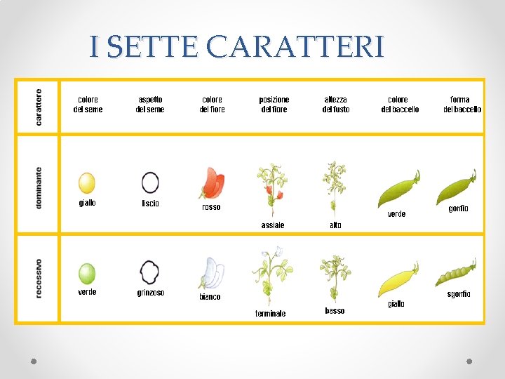 I SETTE CARATTERI 