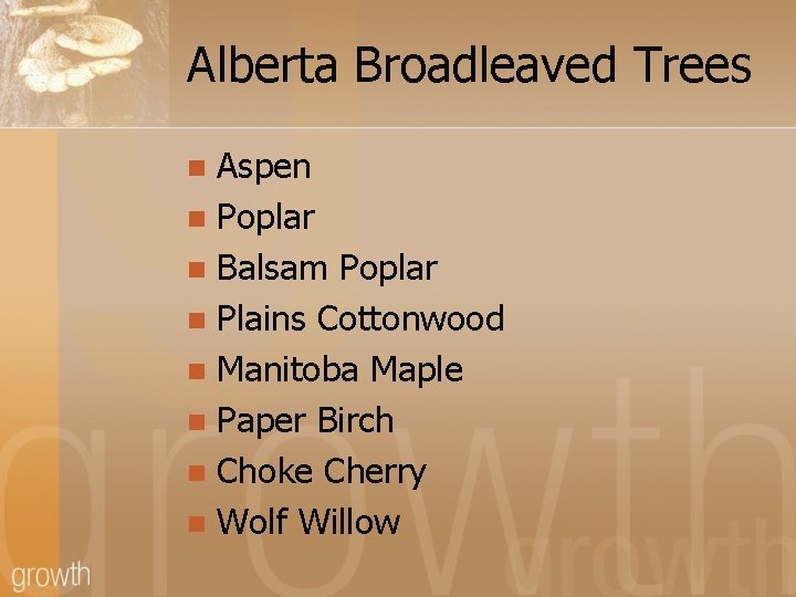 Alberta Broadleaved Trees Aspen n Poplar n Balsam Poplar n Plains Cottonwood n Manitoba