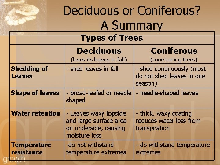 Deciduous or Coniferous? A Summary Types of Trees Deciduous Coniferous (loses its leaves in
