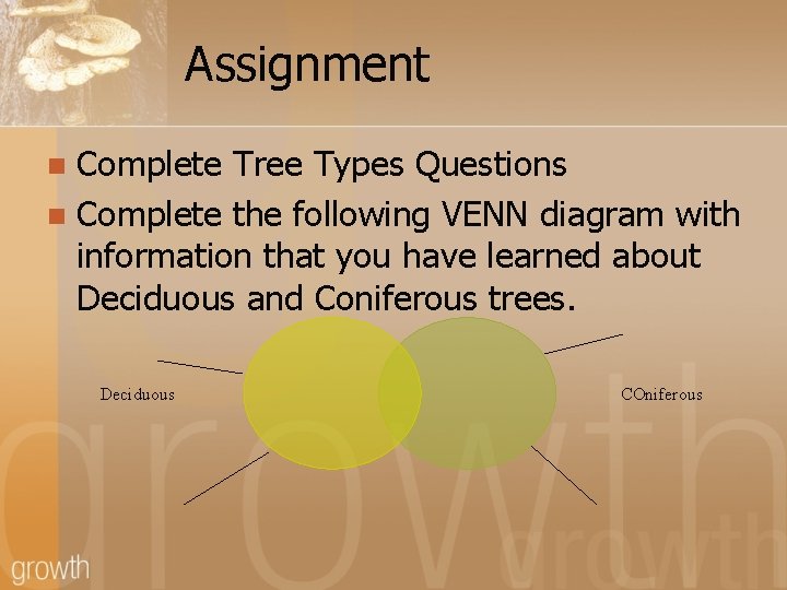 Assignment Complete Tree Types Questions n Complete the following VENN diagram with information that