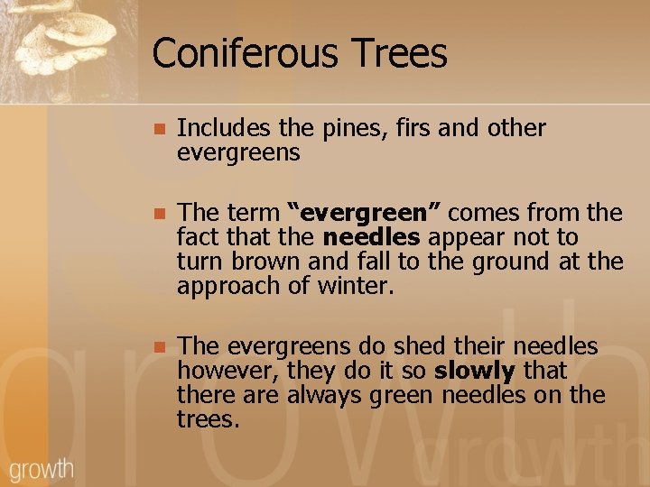 Coniferous Trees n Includes the pines, firs and other evergreens n The term “evergreen”
