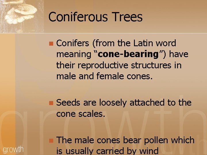 Coniferous Trees n Conifers (from the Latin word meaning “cone-bearing”) have their reproductive structures